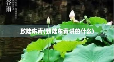 ​致陆东青(致陆东青讲的什么)