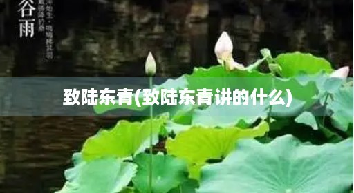 致陆东青(致陆东青讲的什么)