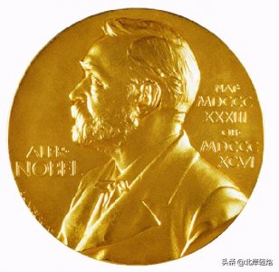 ​核糖体上蛋白质的合成过程（揭开生物体内合成蛋白质的奥秘）