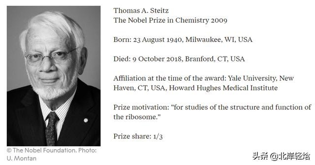 核糖体上蛋白质的合成过程（揭开生物体内合成蛋白质的奥秘）(4)