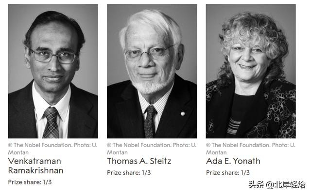 核糖体上蛋白质的合成过程（揭开生物体内合成蛋白质的奥秘）(2)