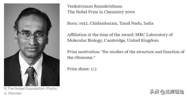 核糖体上蛋白质的合成过程（揭开生物体内合成蛋白质的奥秘）(3)