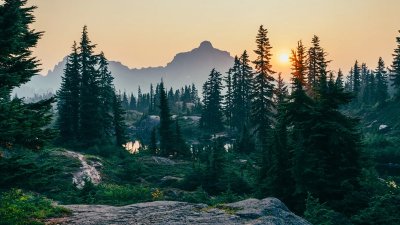 ​森林的三大效益是哪三个