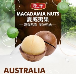 ​夏威夷果的功效与作用 不要小瞧夏威夷果的营养价值