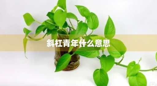 斜杠青年什么意思
