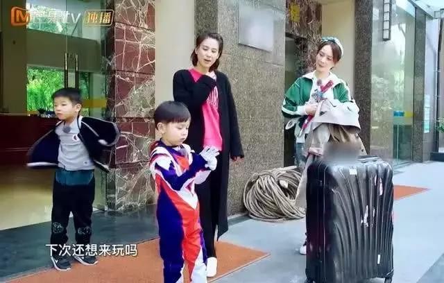 杨子跟黄圣依是什么关系（杨子为什么这么宠爱黄圣依）(4)