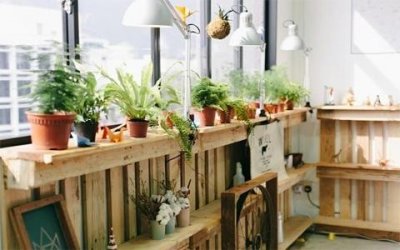 ​怎么开窗通风除甲醛效果最好（通风除甲醛方法多）