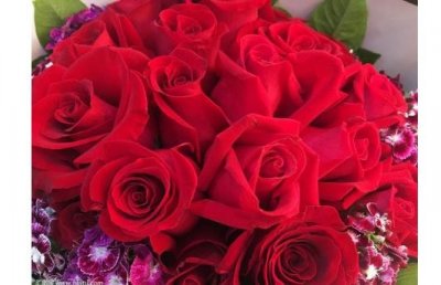 ​不同颜色玫瑰花的寓意