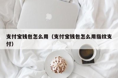 ​支付宝钱包怎么用（支付宝钱包怎么用指纹支付）