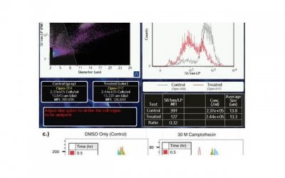​老公闹离婚不想理我，如何通过儿子挽回？