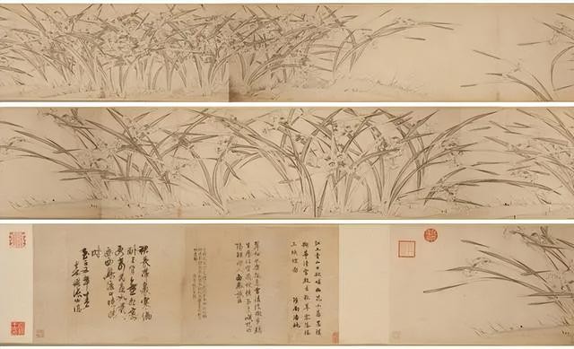 关于水仙花特别有名的散文（观花拾趣水仙）(2)