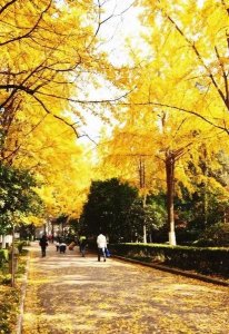 ​男人是不是有钱都想换老婆(关于道德修养的问题)