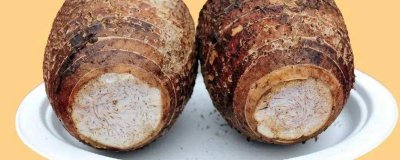 ​吃荔浦芋头的禁忌