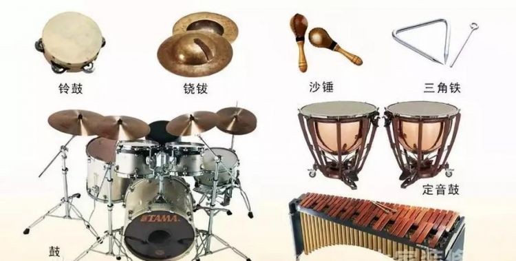 乐器的种类