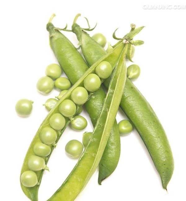 豌豆可以生吃,豌豆可以生吃不图4