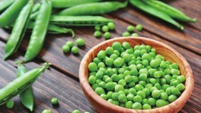 豌豆可以生吃不