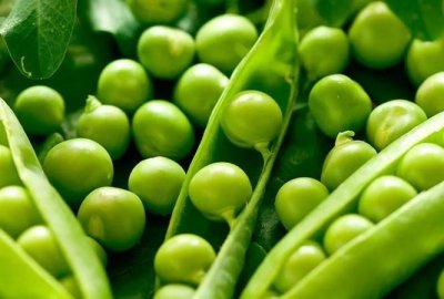 ​豌豆可以生吃,豌豆可以生吃不