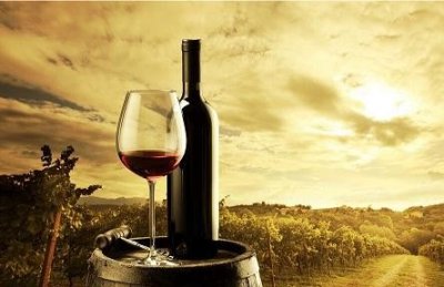 ​银西凤红樽酒 银西凤金樽45度白酒多钱一瓶