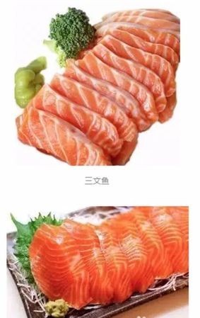 三文鱼什么部位最好吃