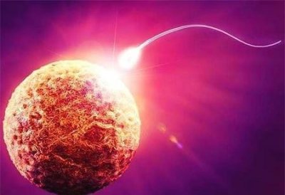 ​为什么女生能生孩子男生却不能(为什么男生不能生孩子女生能生孩子)