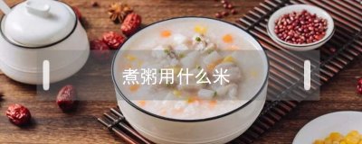 ​煮粥用什么米