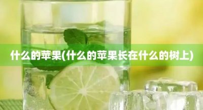 ​什么的苹果(什么的苹果长在什么的树上)