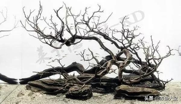 鱼缸造景到底好不好 8款鱼缸造景过程(6)