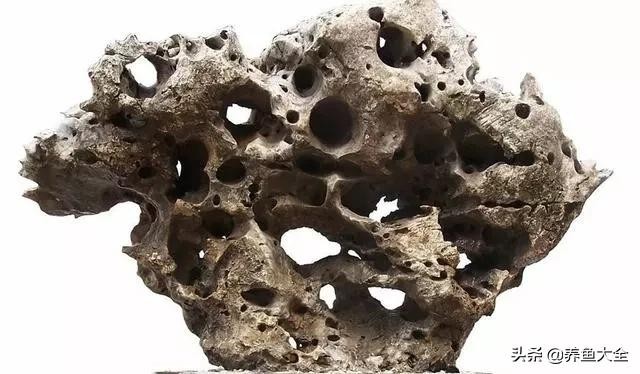 鱼缸造景到底好不好 8款鱼缸造景过程(9)