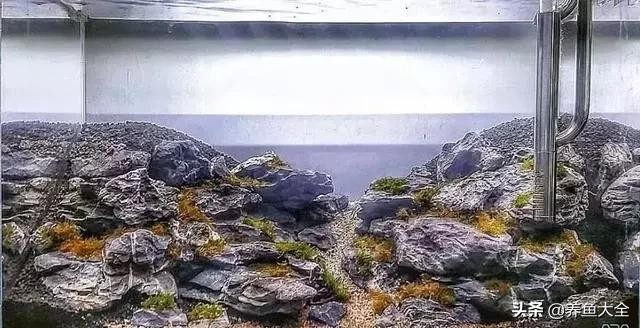 鱼缸造景到底好不好 8款鱼缸造景过程(3)