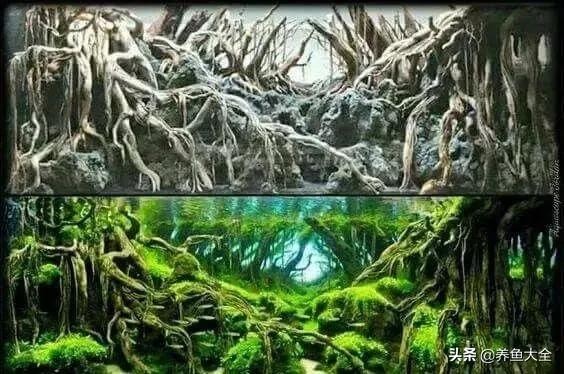 鱼缸造景到底好不好 8款鱼缸造景过程(10)