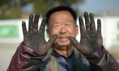 ​农民和务农哪个是职业(羡慕的职业)