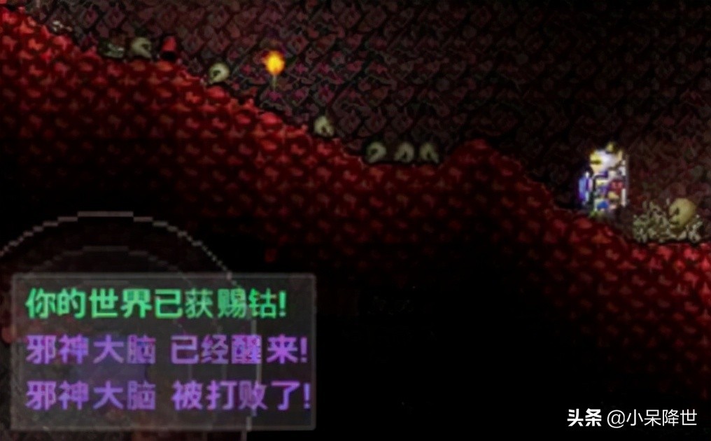 泰拉瑞亚肉山后攻略(分享泰拉瑞亚肉山后主要攻略流程)