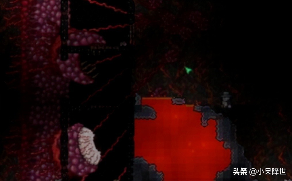 泰拉瑞亚肉山后攻略(分享泰拉瑞亚肉山后主要攻略流程)