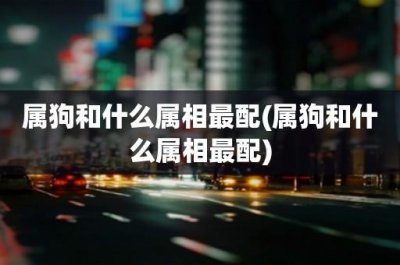 ​属狗和什么属相最配(属狗和什么属相最配)