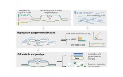 ​酒后和同事睡了怎么办，感觉对不起老婆
