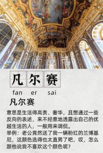 ​凡赛尔是什么意思（凡赛尔的意思）