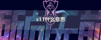 ​s11什么意思