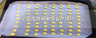 ​200度烘箱中纸会燃烧吗