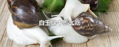 ​白玉蜗牛怎么吃