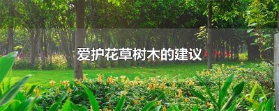 ​爱护花草树木的建议