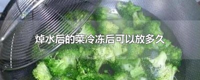 ​焯水后的菜冷冻后可以放多久