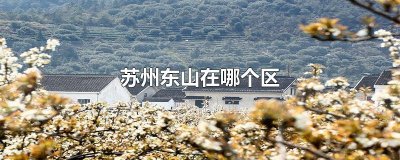 ​苏州东山在哪个区