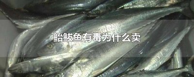 ​鲐鲅鱼有毒为什么卖