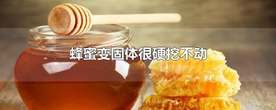 ​蜂蜜变固体很硬挖不动