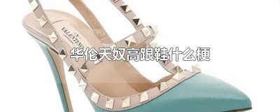 ​华伦天奴高跟鞋什么梗