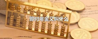 ​即付年金又叫什么