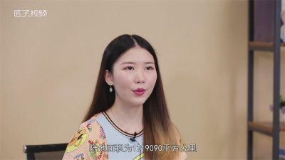 ​南非是发达国家吗