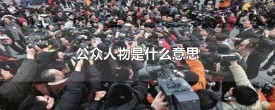 ​公众人物是什么意思