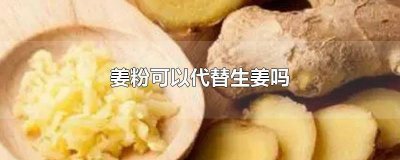 ​生姜可以用姜粉代替吗 姜粉能代替姜吗
