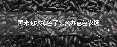 黑米泡水掉色了怎么办芭芭农场